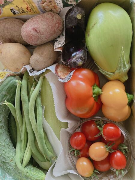 北海道産野菜セット詰め合わせ