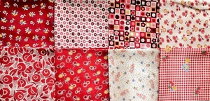 カット済 ミニ カットクロス 8枚 セット サイズ 25cmx25cm 前後 76
