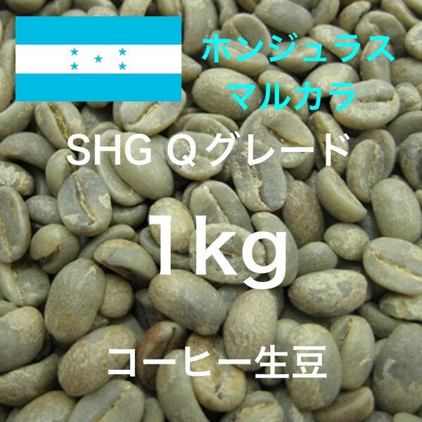 【コーヒー生豆】ホンジュラス マルカラ産 SHG Qグレード 1kg