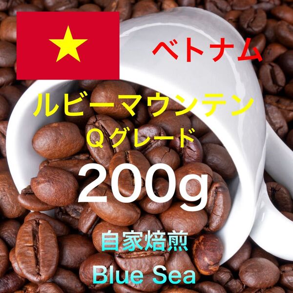【自家焙煎コーヒー豆】ベトナム産 ルビーマウンテン 200g(100g×2袋) 注文後焙煎