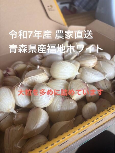 令和7年度青森県産にんにく(福地ホワイト)サイズ混合1kg