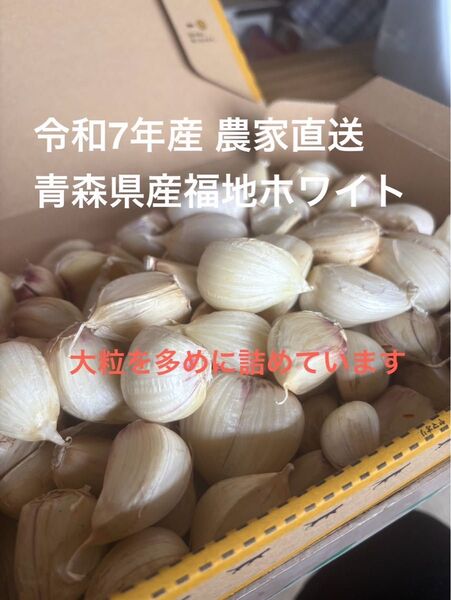 令和7年産 青森県産にんにく(福地ホワイト)サイズ混合1kg