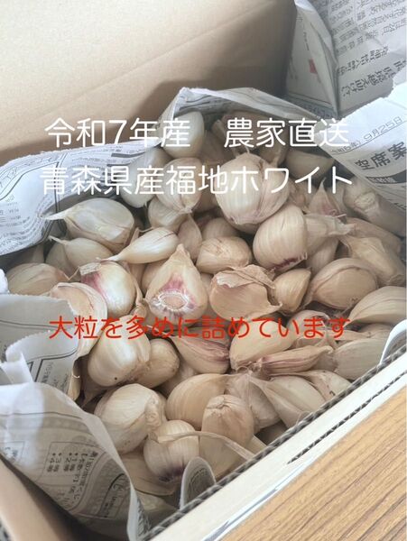 令和7年産 青森県産にんにく(福地ホワイト)サイズ混合1.8kg