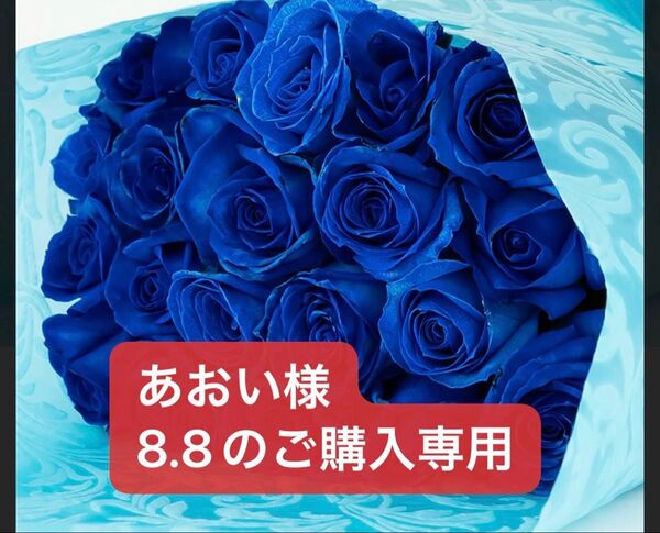 あおい様8.8のご購入専用 POLA美容液B.A グランラグゼ Ⅳ 6g*10本