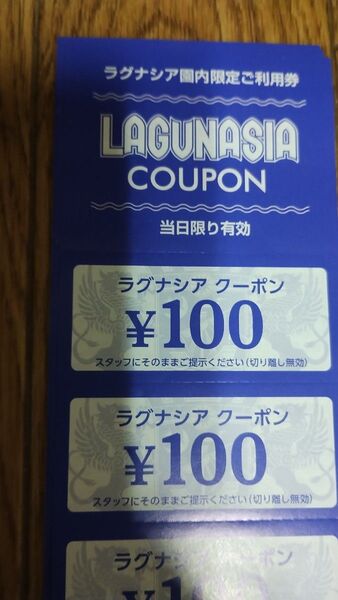 ラグーナテンボス ラグナシア ラグーナ蒲郡 愛知県 クーポン ラグナシア園内限定ご利用券 5000円分