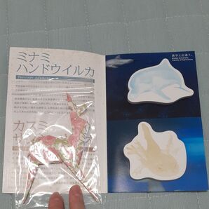 鹿の折り紙と近畿大学の海の生き物付箋