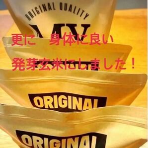 1000g (生穀物粉) 発芽玄米 黒米 赤米 いなきび もちあわ たかきび
