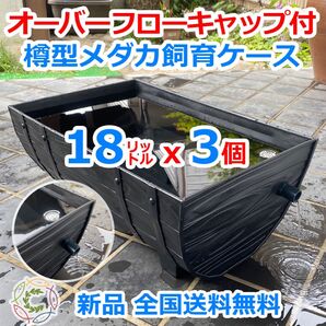 【新仕様】メダカ飼育ケース 樽型18㍑ 黒x3個 オーバーフロー対策済 メダカ飼育容器 金魚鉢 ビオトープ 睡蓮【五色アクア】