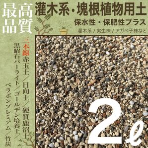 【三本線赤玉土使用】灌木系・塊根植物 コーデックス 用土 2㍑【実生株にも】