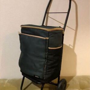 廃番 サーモス 保冷カート キャンプ ソフトクーラー 徒歩ソロキャンプ