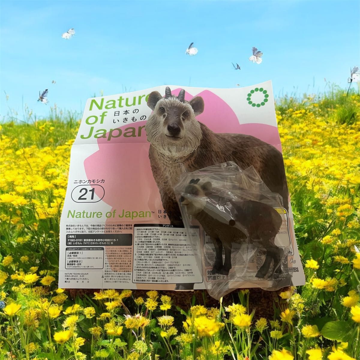 日本のいきもの Nature of Japan ニホンカモシカ ガチャ