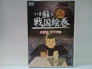 廃盤◆◆美品ＤＶＤいま蘇る戦国絵巻10家康Ⅳ天下平定◆◆徳川家康 徳川幕府 江戸城 姫路城 福山城 小田原城 肥前名護屋城 岩国城 送料無料