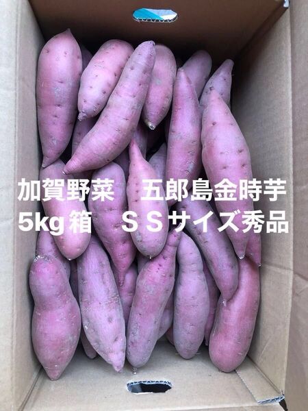 加賀野菜 五郎島金時芋5kg箱 SSサイズ秀品