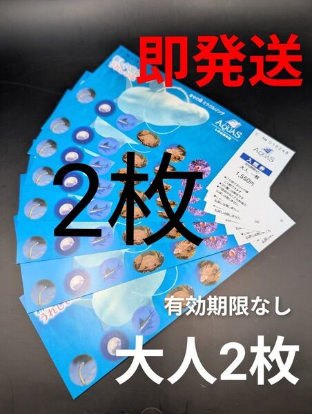 【大人2枚】島根県立しまね海洋館 アクアス★入館券 有効期限なし 一般 ペア入場券 即発送