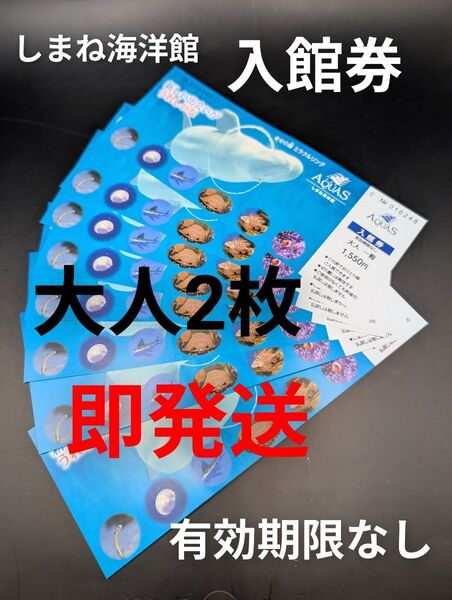 【大人2枚】島根県立しまね海洋館 アクアス★入館券 有効期限なし 一般 ペア入場券 即発送