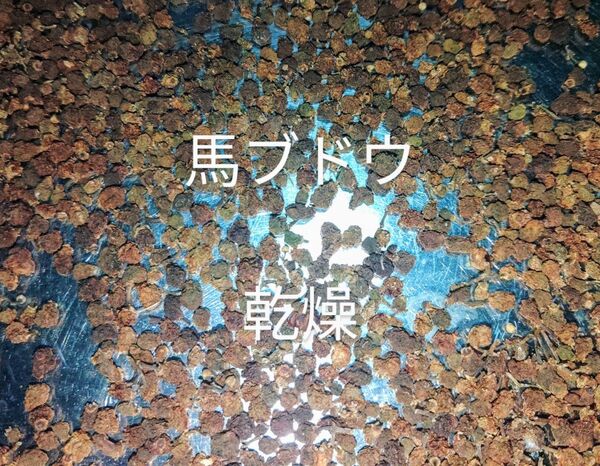 岩手県産 馬ブドウ 野ぶどう 乾燥 45g
