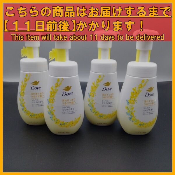Dove フェイスケア ビューティモイスチャー 泡洗顔フォーム 本体 150mL