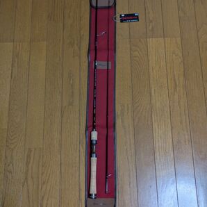 天龍 レイズオルタ ミッジミノーインRZA602S-MLMT