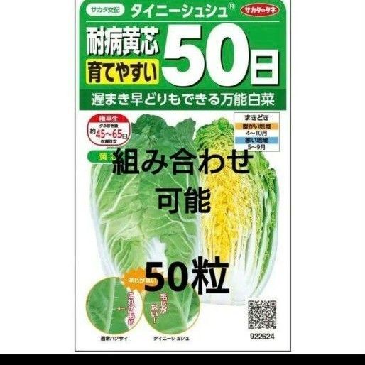 【種】サカタのタネ ミニ白菜 50粒 組み合わせ可能