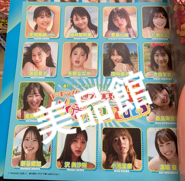 週刊プレイボーイPREMIUM 2025上半期グラビア傑作選 付録 DVD 未開封 榎原依那 豊島心桜 田中美久 福井梨莉華