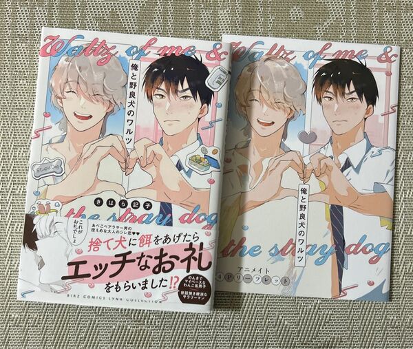 俺と野良犬のワルツ きはら記子 アニメイトリーフレット付き