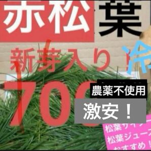 無農薬 赤松の葉 松の葉 夏野菜 松葉 野菜 岡山県産 即日発送 即購入可能