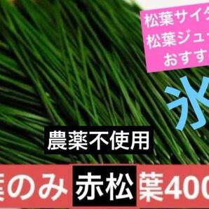 無農薬 松の葉 夏野菜松葉赤松の葉 野菜 岡山県産 即日発送 即購入可能新芽のみ