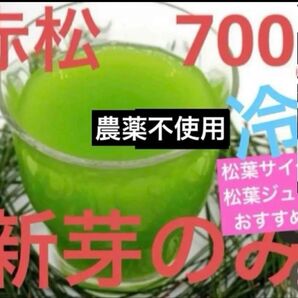 松の葉 野菜 枝付き赤松葉 松葉 夏野菜 野菜 岡山県産 即日発送 即購入可能