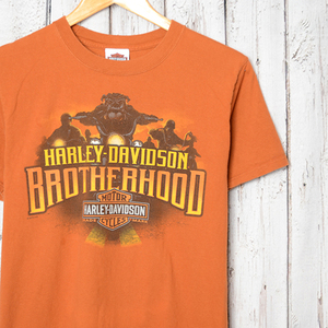 BT2223 ハーレーダビッドソン HARLEY DAVIDSON Tシャツ S 肩42 ブルライダー ミネソタ州 バイク メール便可 xq