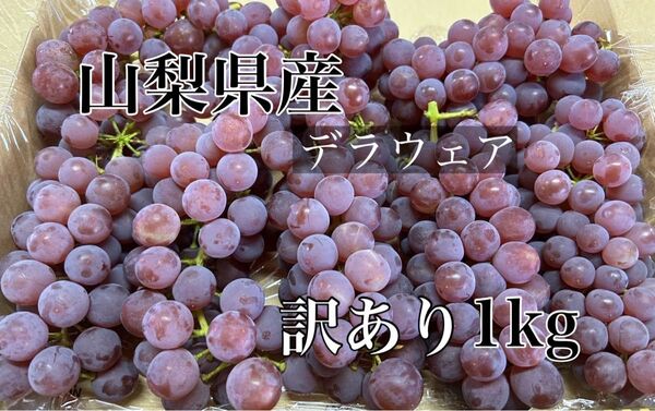 山梨県産 デラウエア1kg 訳あり