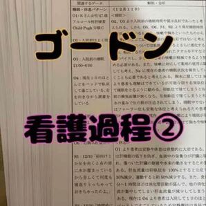 ゴードン看護過程