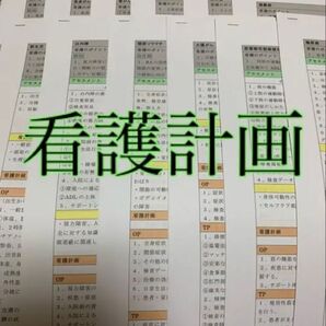 看護計画セット