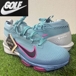 【NIKE GOLF】新品インフィニティツアー2GORE-TEX ゴルフシューズ ナイキゴルフ ゴアテックス 29㎝
