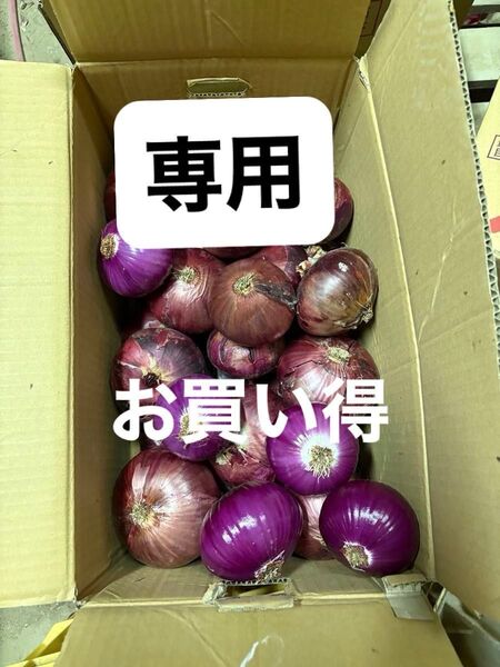 超訳あり南淡路産赤玉大玉