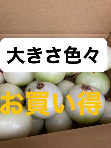 南あわじ産玉ねぎ混合5K