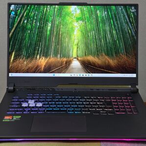 ROG Strix G17 (2023)G713 G713PV-R99R4060