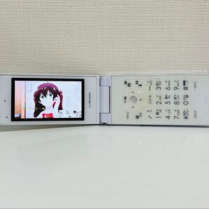 【ワンセグ視聴可能】 電池良好 N-03D ガラケー最終期のハイスペック機種 docomo FOMA 一応箱あり