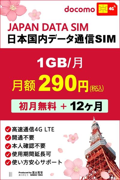 「1年プラン」docomoプリペイドSIM 毎月1GB 購入月+12カ月 高速データ通信SIM 格安SIM prepaid sim