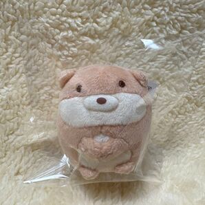 すみっコぐらし かわうそとすみっコキャンプ かわうそ てのりぬいぐるみ