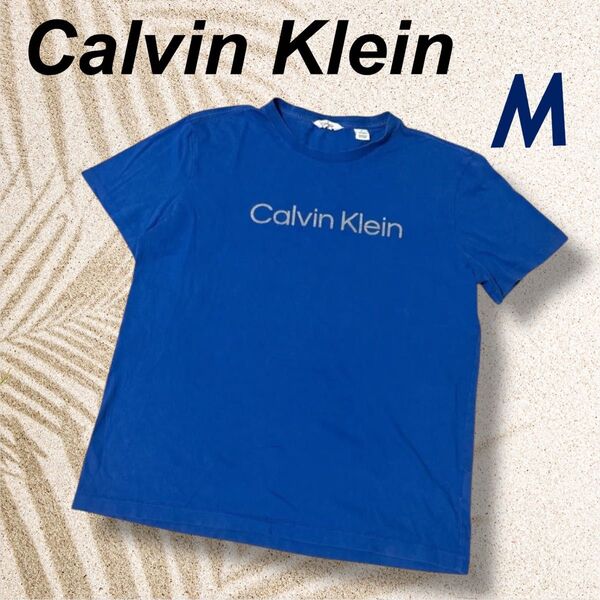 Calvin Klein カルバンクライン コストコ別注 メンズTシャツ M 半袖 ロゴ ブルー系/F018☆