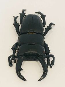 カブトムシ　クワガタ　フィギュア　生き物　生物　動物　ヒラタクワガタ　オオクワガタ　18