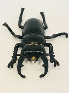 カブトムシ　クワガタ　フィギュア　生き物　生物　動物　ヒラタクワガタ　オオクワガタ　17