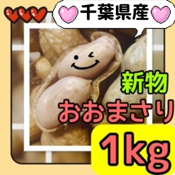 1kg【おおまさり】生落花生 新物 本場千葉県産(農家直送) ※箱込み 89①