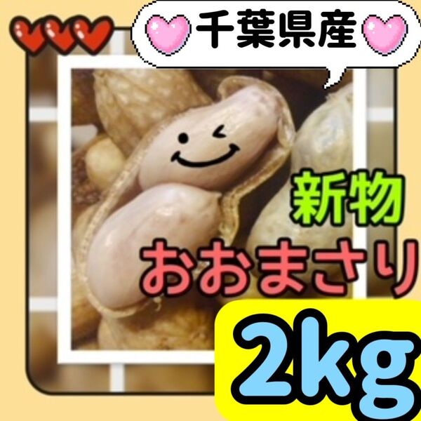 2kg【おおまさり】生落花生 新物 本場千葉県産(農家直送) ※箱込み 89①