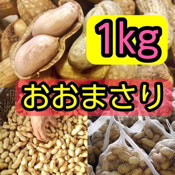 1kg 生落花生 おおまさり 千葉県産