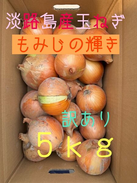 淡路島産玉ねぎもみじの輝き訳あり5kg★