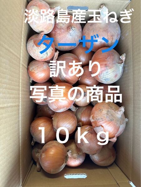 淡路島産玉ねぎターザン訳あり10kg★