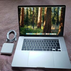 Apple MacBook Pro 16 2019 A2141 i9-9880H 16GB 1TB