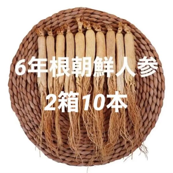 2箱♪6年根乾燥朝鮮人参 10本100g以上♪ 野生環境黒土露地栽培 高麗人参