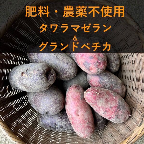 肥料農薬不使用 タワラジャガイモ(ミックス) 種芋にもどうぞ◎